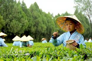 雷电竞网址官网截图2